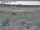 Webcam in Nieuwvliet-Bad, 16.7 km