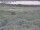 Webcam in Nieuwvliet-Bad, 7.5 km