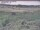 Webcam in Nieuwvliet-Bad, 8.9 km