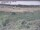 Webcam in Nieuwvliet-Bad, 16.7 km