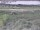 Webcam in Nieuwvliet-Bad, 4 mi away
