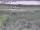 Webcam in Nieuwvliet-Bad, 11.1 km