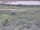 Webcam in Nieuwvliet-Bad, 4.4 km entfernt