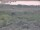 Webcam in Nieuwvliet-Bad, 4.5 mi away