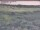 Webcam in Nieuwvliet-Bad, 10.2 km entfernt