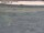 Webcam in Nieuwvliet-Bad, 12.5 km