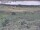 Webcam in Nieuwvliet-Bad, 46.9 km