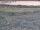 Webcam in Nieuwvliet-Bad, 16.7 km