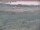 Webcam in Nieuwvliet-Bad, 26.5 mi away