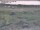 Webcam in Nieuwvliet-Bad, 3.5 km entfernt