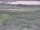 Webcam in Nieuwvliet-Bad, 8.9 km