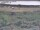 Webcam in Nieuwvliet-Bad, 9.7 mi away