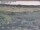 Webcam in Nieuwvliet-Bad, 21.7 km