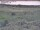 Webcam in Nieuwvliet-Bad, 12.5 km