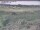 Webcam in Nieuwvliet-Bad, 68.7 km