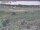 Webcam in Nieuwvliet-Bad, 68.7 km