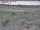 Webcam in Nieuwvliet-Bad, 68.2 km