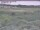 Webcam in Nieuwvliet-Bad, 16.7 km