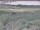 Webcam in Nieuwvliet-Bad, 19.8 km