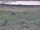 Webcam in Nieuwvliet-Bad, 7.5 km entfernt