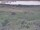 Webcam in Nieuwvliet-Bad, 21.7 km entfernt