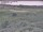 Webcam in Nieuwvliet-Bad, 26.3 mi away