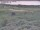 Webcam in Nieuwvliet-Bad, 68.7 km