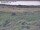 Webcam in Nieuwvliet-Bad, 46.9 km entfernt