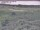 Webcam in Nieuwvliet-Bad, 4.4 km