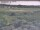 Webcam in Nieuwvliet-Bad, 9.2 km
