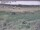 Webcam in Nieuwvliet-Bad, 1.1 mi away