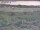 Webcam in Nieuwvliet-Bad, 87.4 km