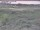 Webcam in Nieuwvliet-Bad, 8.3 mi away