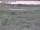 Webcam in Nieuwvliet-Bad, 7.6 mi away