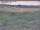 Webcam in Nieuwvliet-Bad, 19.7 km entfernt