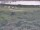 Webcam in Nieuwvliet-Bad, 12.5 km