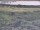 Webcam in Nieuwvliet-Bad, 12.5 km