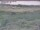 Webcam in Nieuwvliet-Bad, 23.6 km