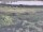 Webcam in Nieuwvliet-Bad, 19.8 km