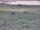 Webcam in Nieuwvliet-Bad, 87.4 km