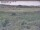 Webcam in Nieuwvliet-Bad, 23.6 km