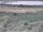 Webcam in Nieuwvliet-Bad, 8.3 mi away