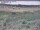 Webcam in Nieuwvliet-Bad, 4.5 mi away