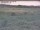 Webcam in Nieuwvliet-Bad, 12.5 km