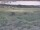 Webcam in Nieuwvliet-Bad, 20.1 km entfernt