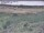Webcam in Nieuwvliet-Bad, 26.3 mi away