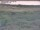 Webcam in Nieuwvliet-Bad, 19.7 km