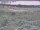 Webcam in Nieuwvliet-Bad, 7.8 mi away