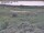 Webcam in Nieuwvliet-Bad, 12.5 km