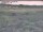 Webcam in Nieuwvliet-Bad, 20.1 km